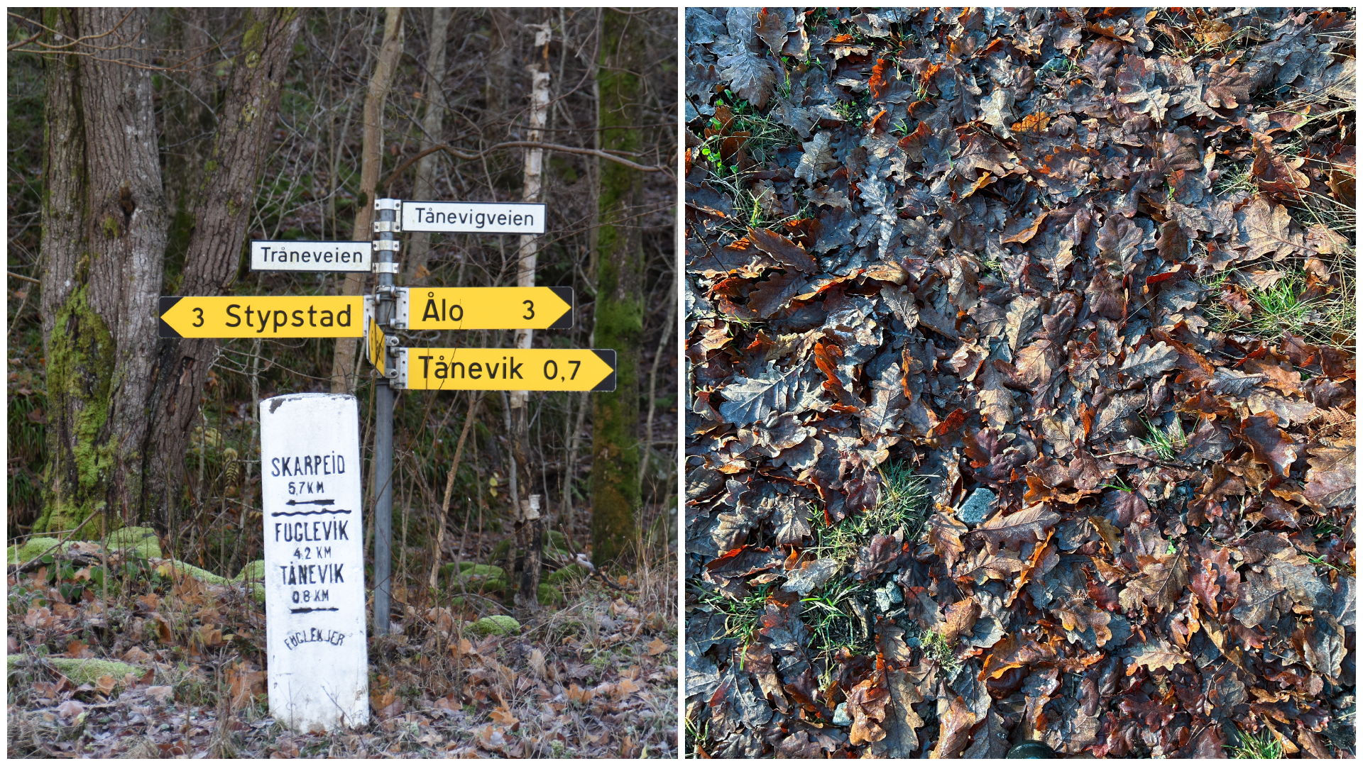 Fra Lindesnes-området