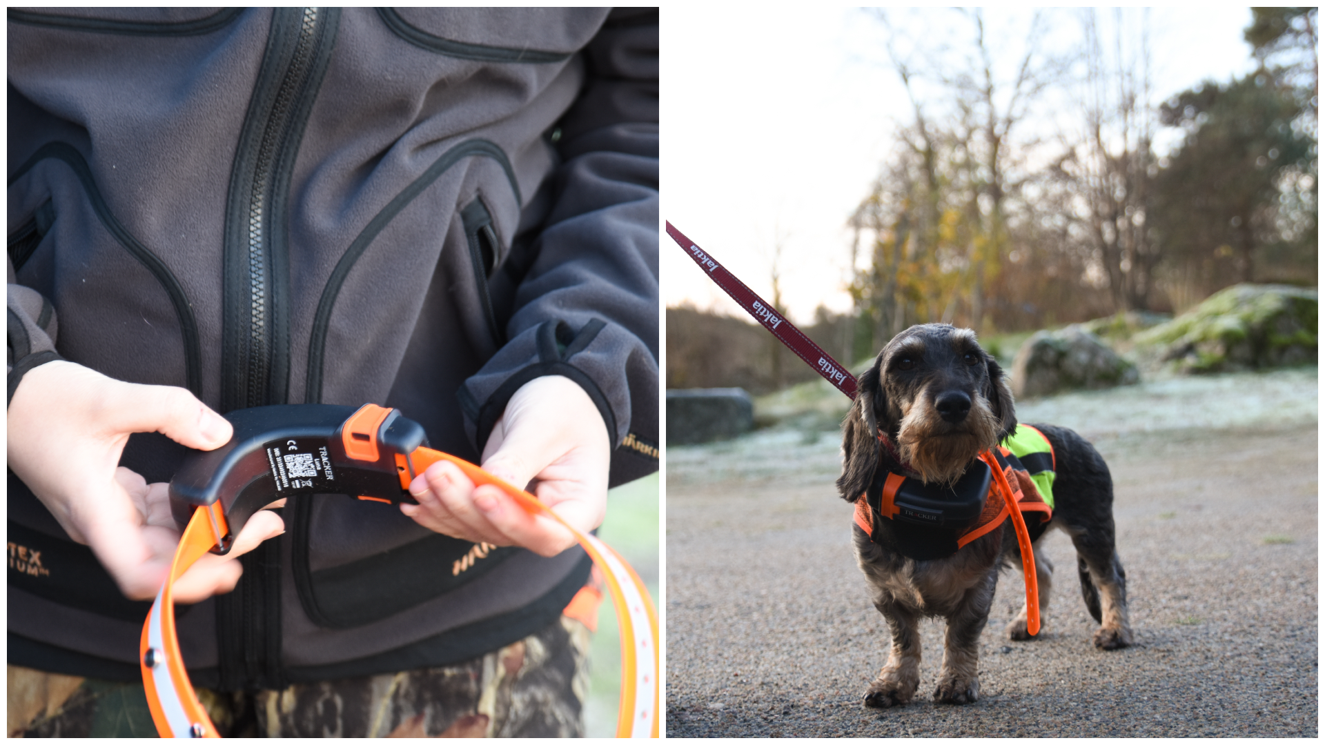 Vilja med GPSen Tracker Luna