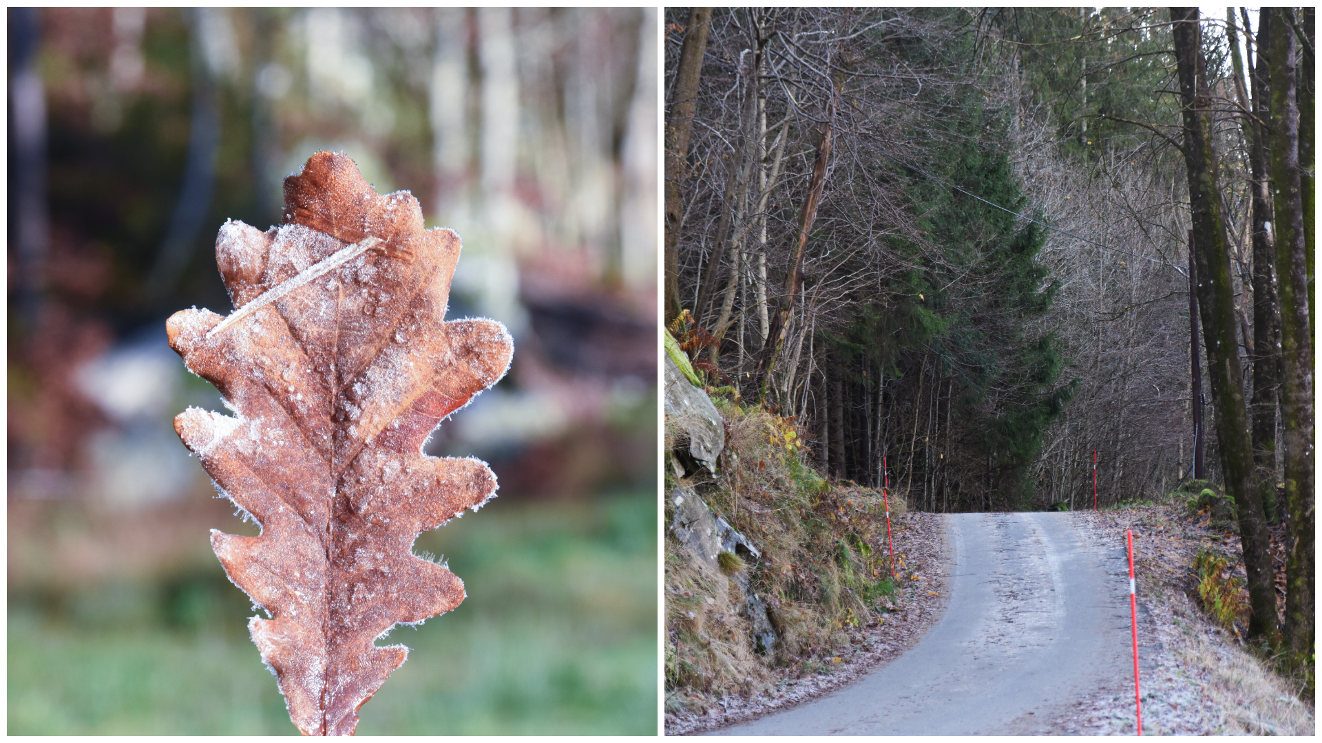 Fra Lindesnes-området