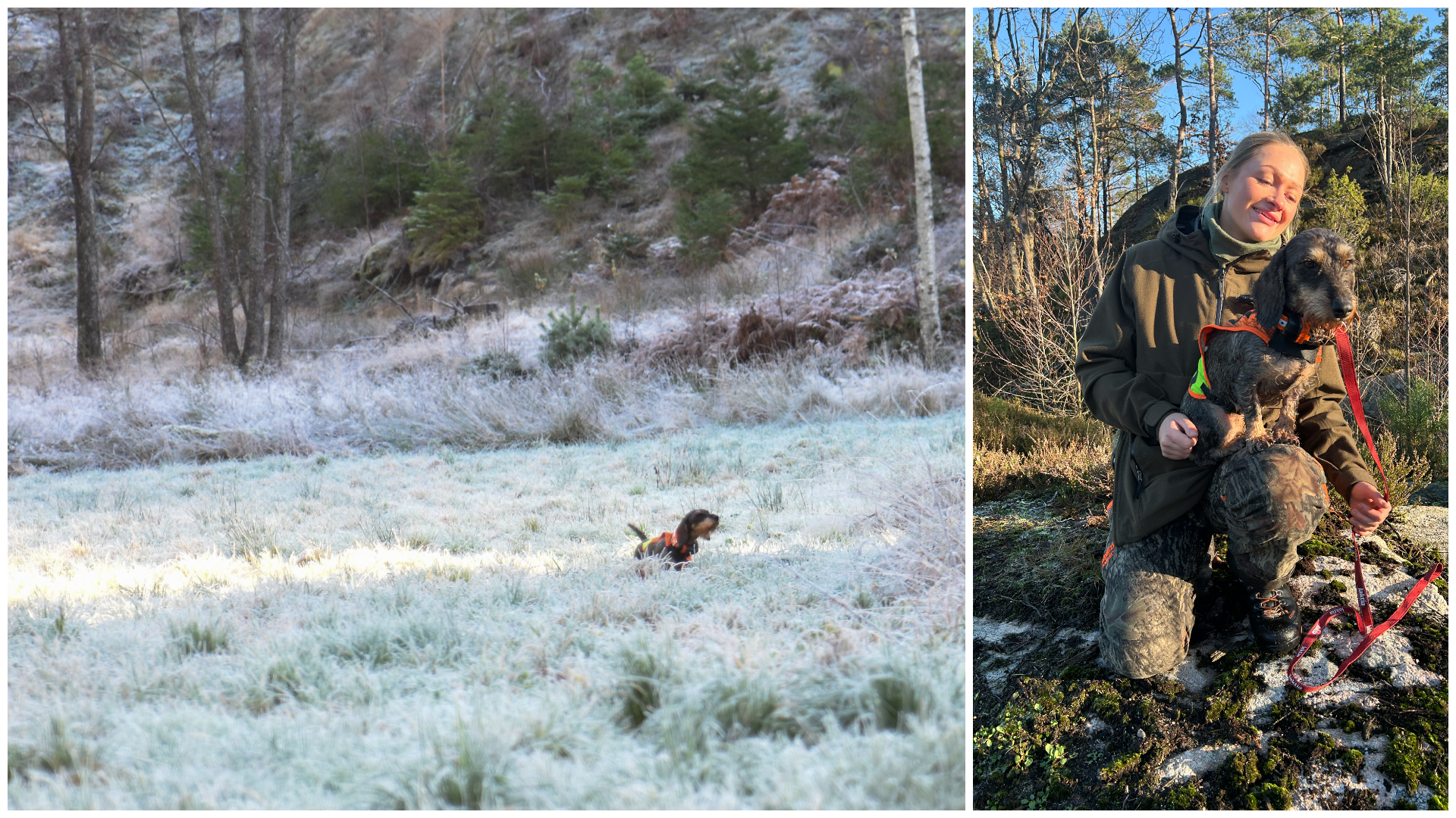 Hedda Svennebye og dachsen Vilja