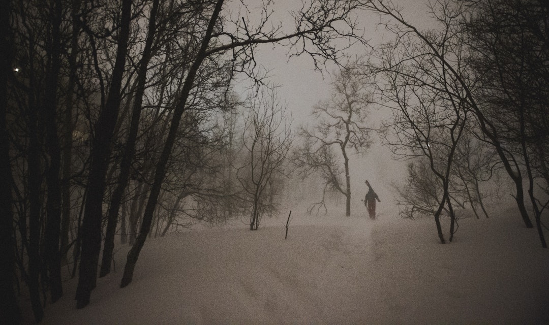 BYNÆRT II: Henrik Romsaas på vei opp til en sentrumsnær hemmeligskog. Foto: Sjur Melsås skikjører i hemmelig skog