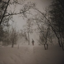 BYNÆRT II: Henrik Romsaas på vei opp til en sentrumsnær hemmeligskog. Foto: Sjur Melsås skikjører i hemmelig skog