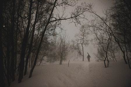 BYNÆRT II: Henrik Romsaas på vei opp til en sentrumsnær hemmeligskog. Foto: Sjur Melsås skikjører i hemmelig skog