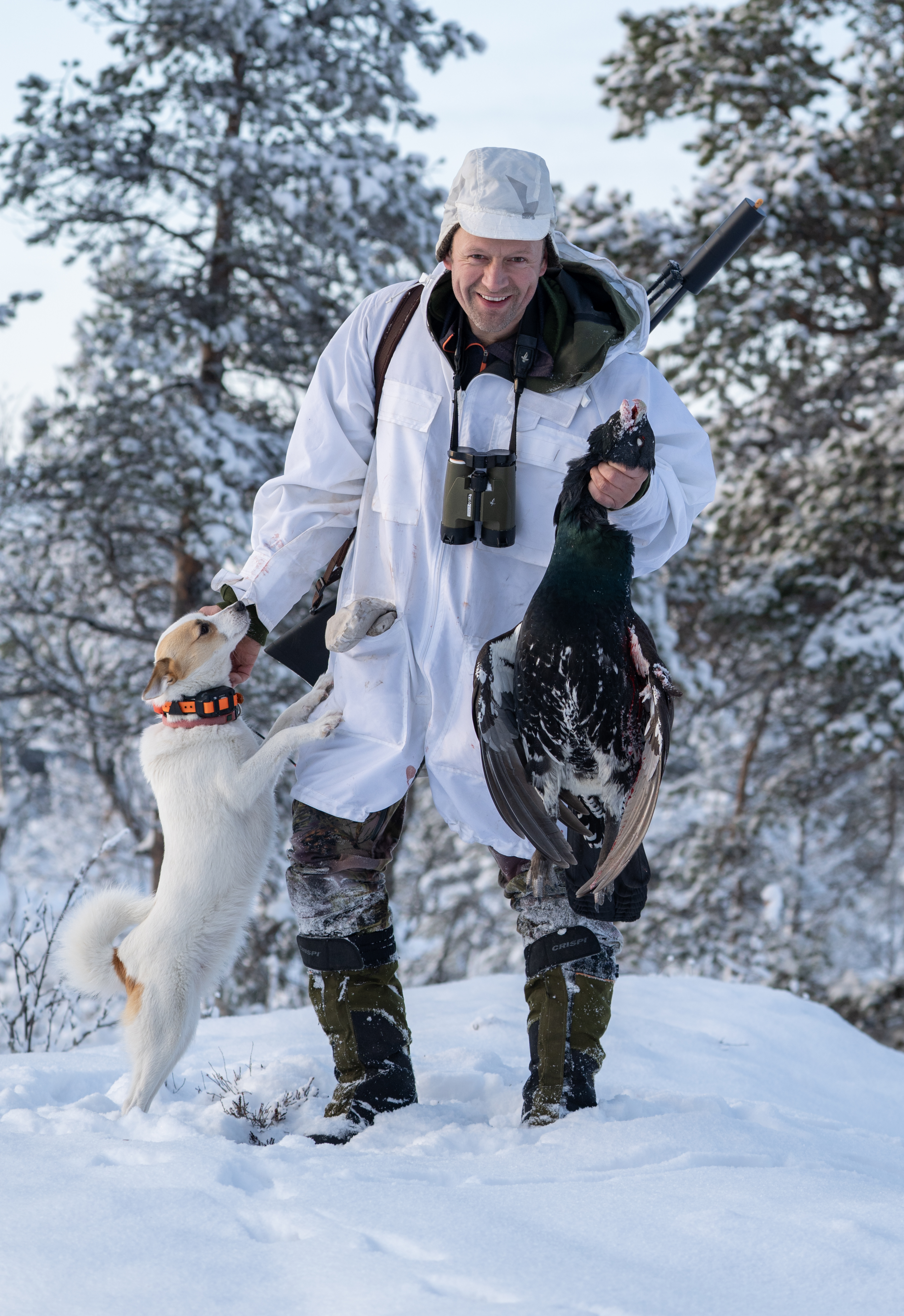 Jeger og norrbottenspets med tiur