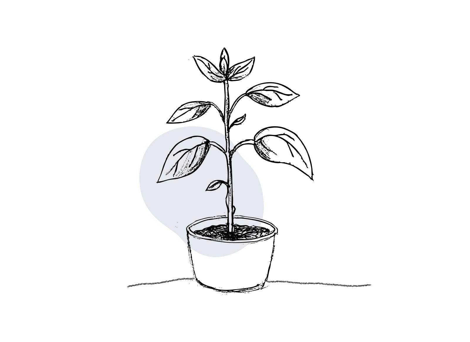 Cover Image for Applicazioni efficienti per ogni settore