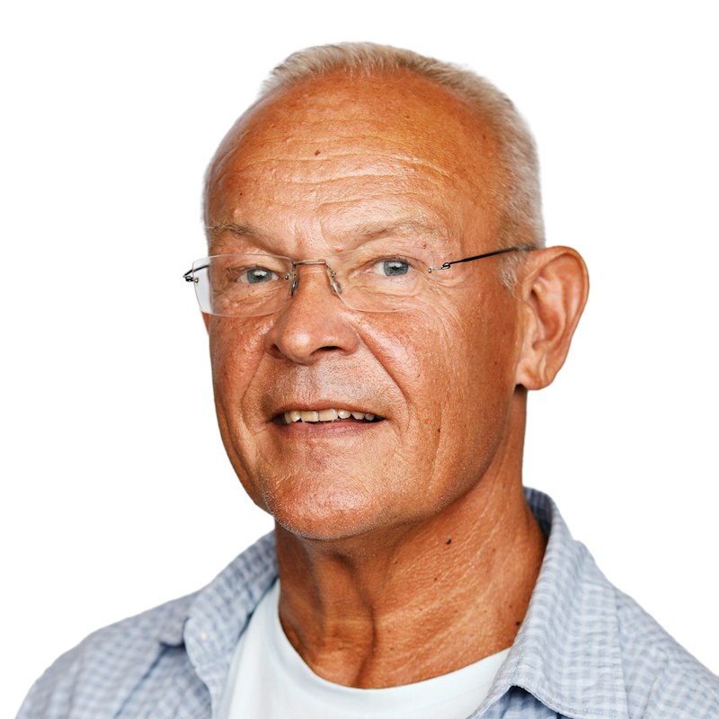 Portræt af Henrik Friis