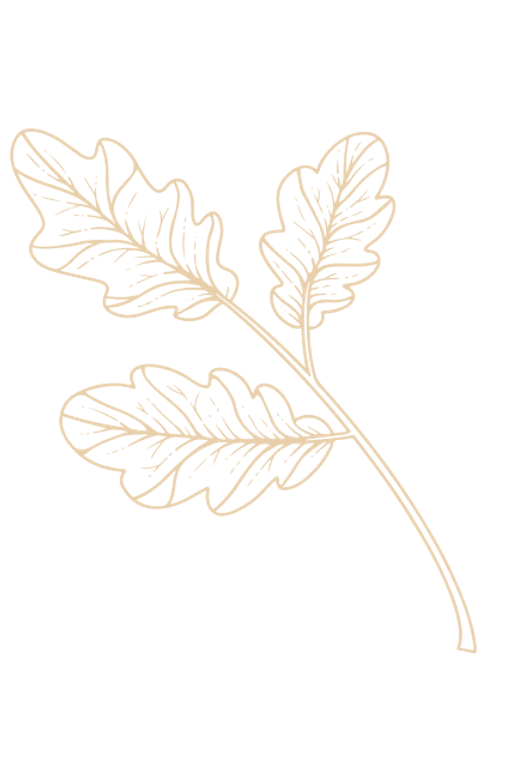 Silhouet van een eikenblaadje