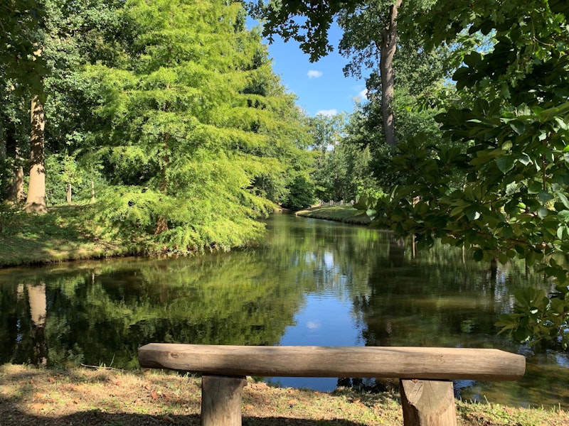 Bankje in het park