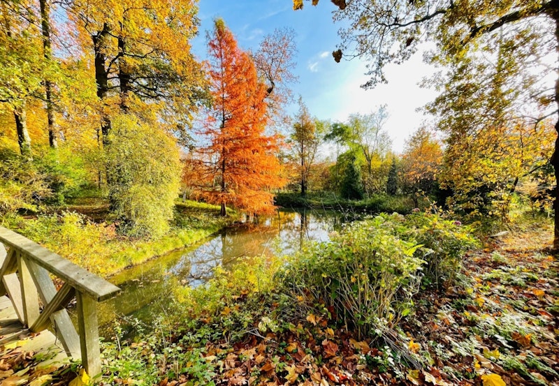 Park in mooie herfstkleuren