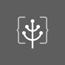 Green Software Foundation