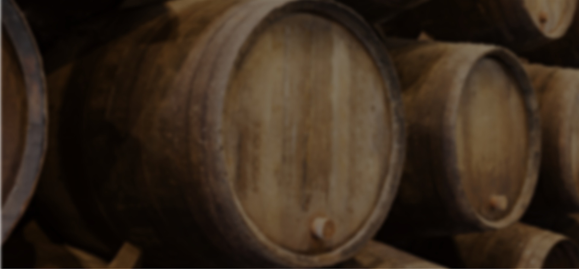 Banner media