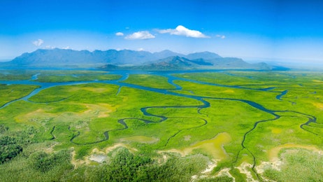 Sustainability - mangroves and rivers