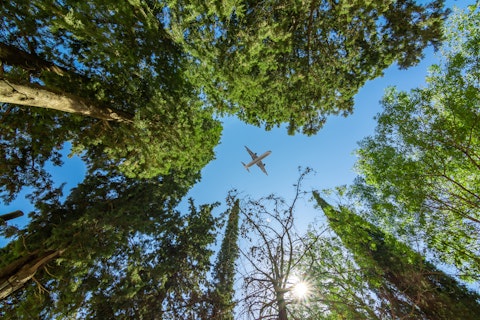 Plane flying above green trees