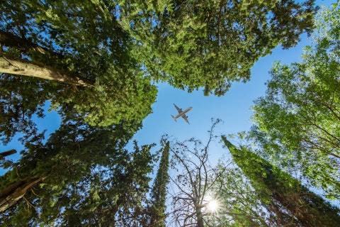 Vliegtuig dat boven groene bomen vliegt