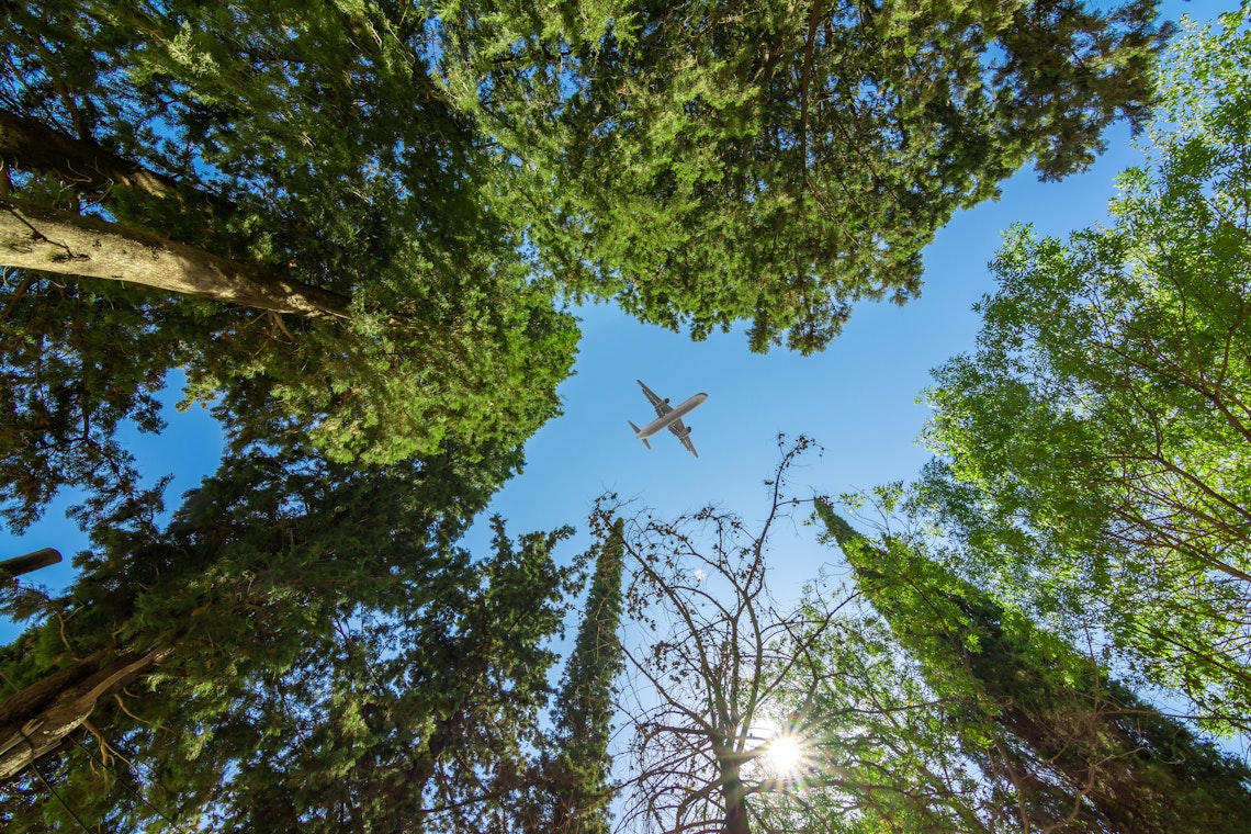 Plane flying above green trees