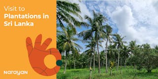 sri lanka plantations