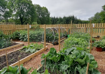 Brookville Tullygarley Allotments