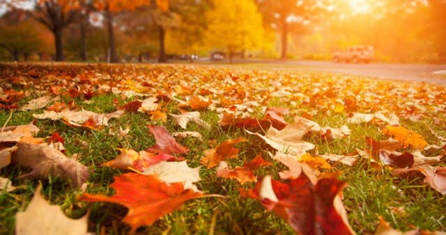 Six things to do around your home this Autumn to prepare for the cooler months