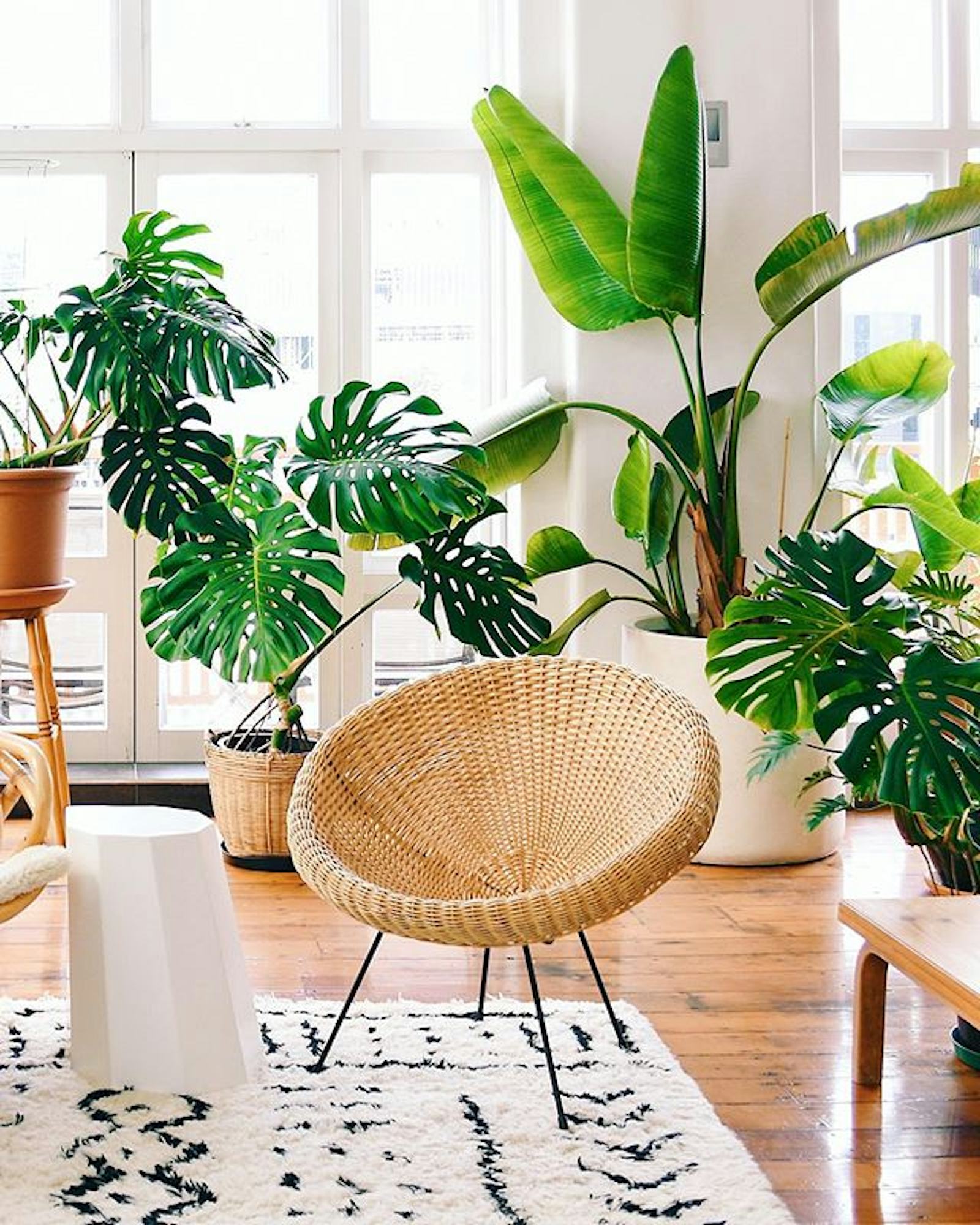 Keep furniture out of the landfill by filling your home with op-shop bargains, up-cycle family heirlooms and get your creative on