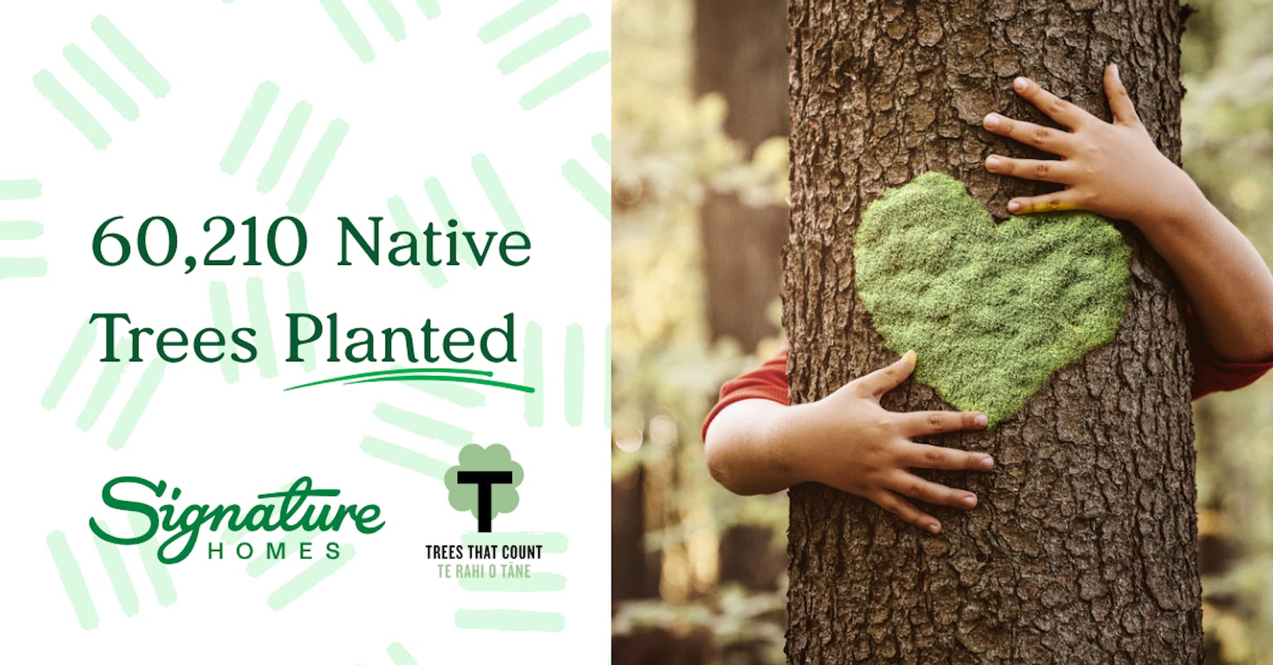 Signature Homes partners with Trees that Count to mitigate our home construction carbon emissions