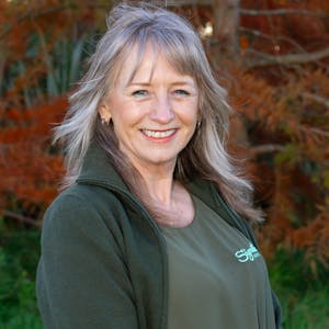 Debbie Ryan, House & Land Specialist at Signature Homes Christchurch South