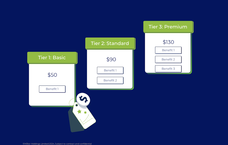 Tiered based pricing example - 3 boxes showing each tier and each benefit