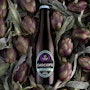 https://www.datocms-assets.com/56267/1701690442-03-birra-carciofo_img02.jpg?auto=format&h=90