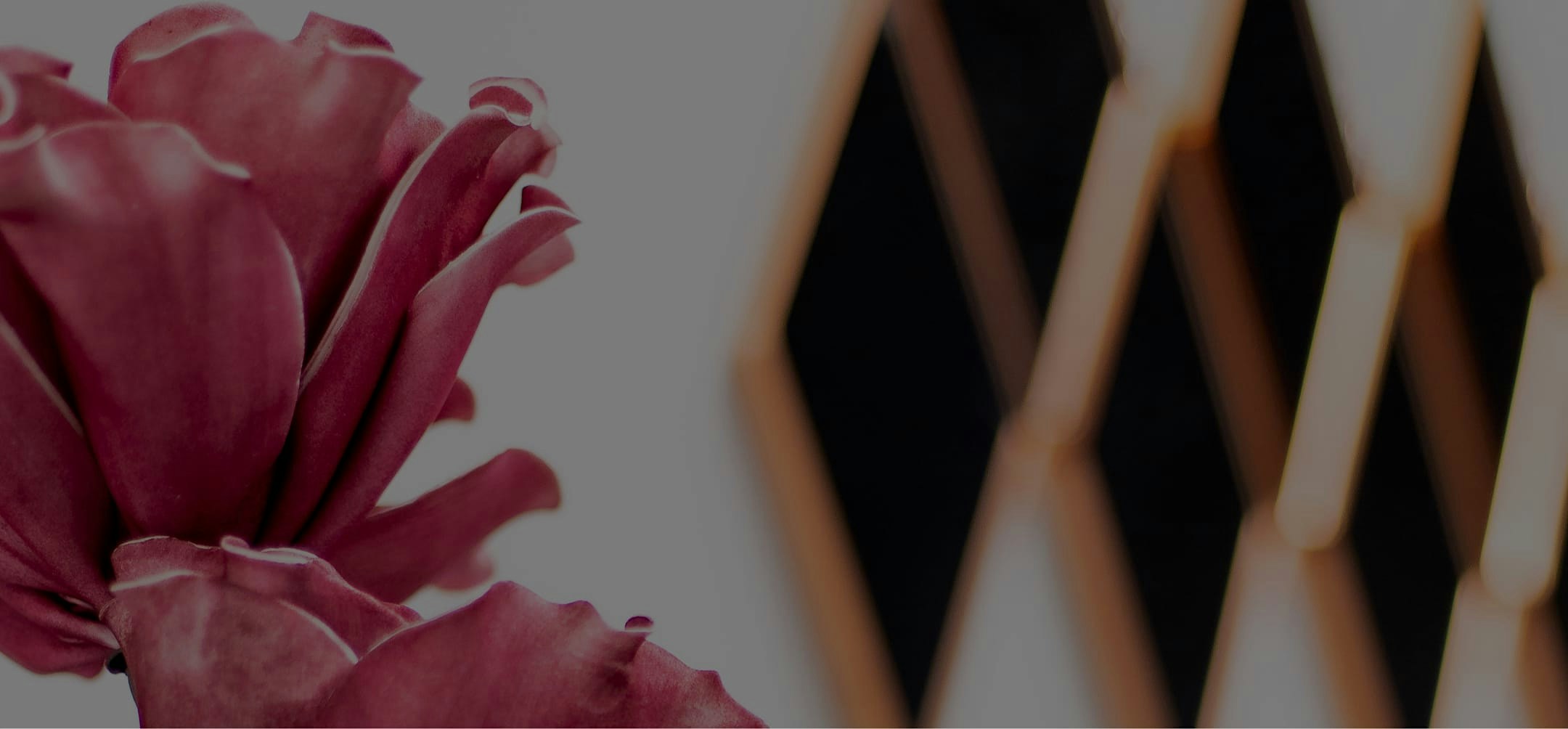Banner media