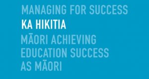 Maori achieving success as maori