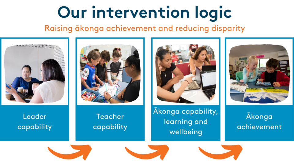 Our intervention logic infographic