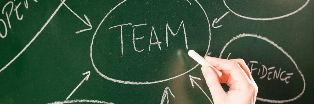 Our team