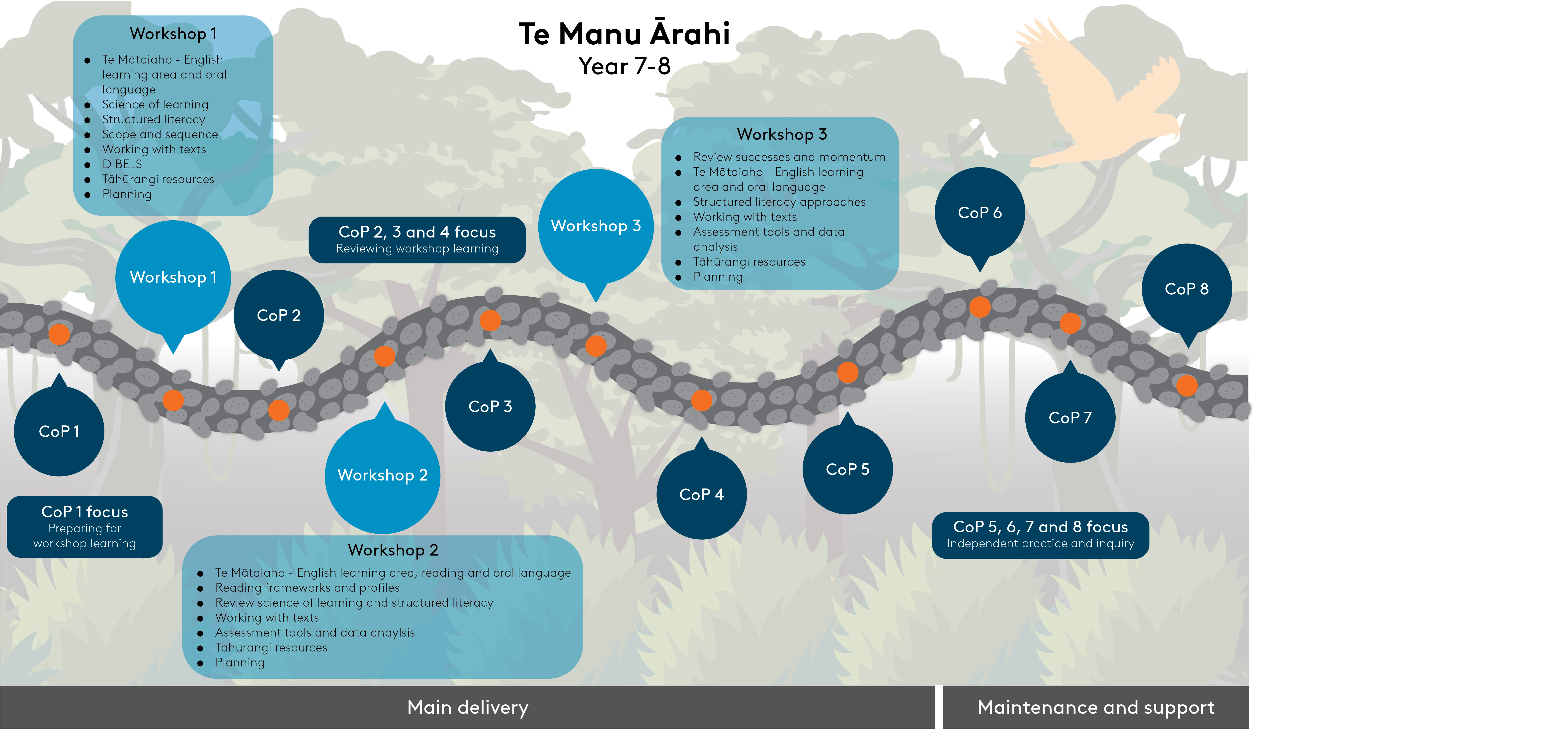 Structured literacy workshops and CoP timeline