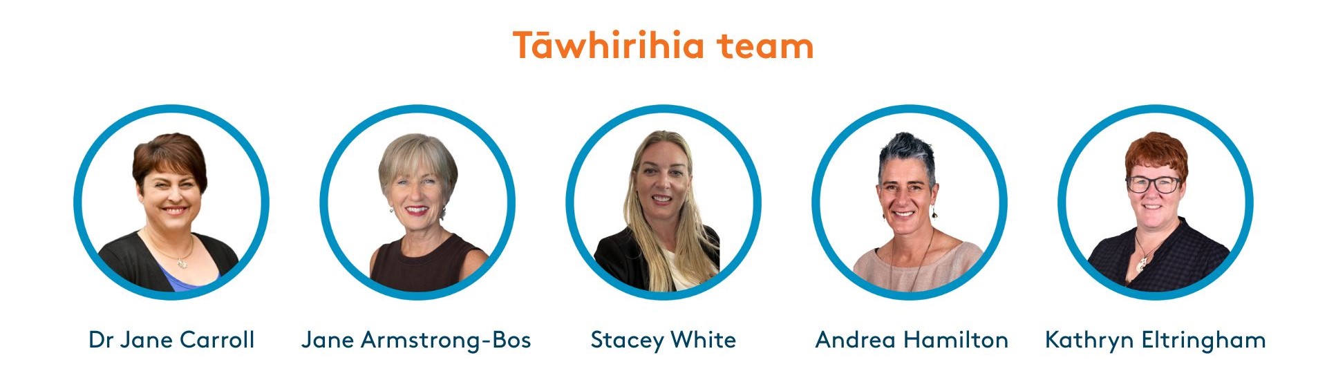 Photos of the team