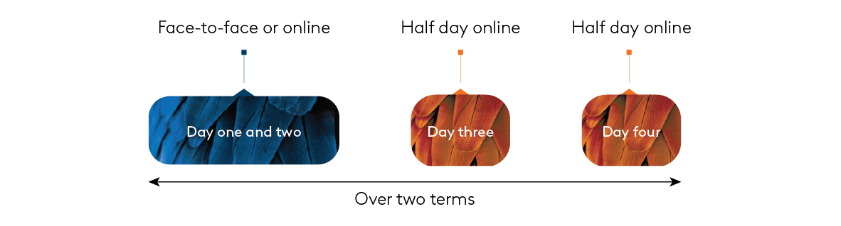 Three day delivery graphic over term terms