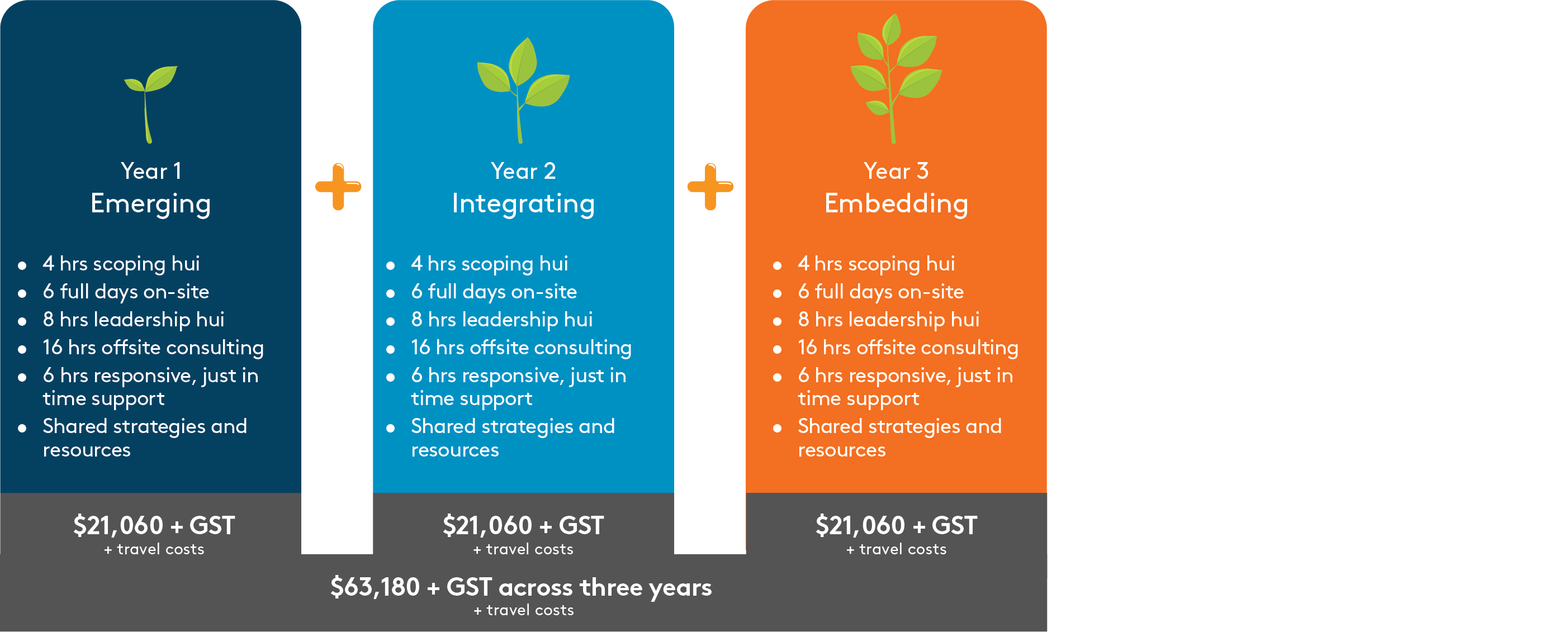 The three-year pathway includes Year 1: Emerging, Year 2: Integrating, and Year 3: Embedding, each providing 4 hours of scoping hui, 6 full days on-site, 8 hours of leadership hui, 16 hours of offsite consulting, 6 hours of responsive just-in-time support, and shared strategies and resources. Each year costs $21,060 + GST + travel costs, totalling $63,180 + GST across three years.