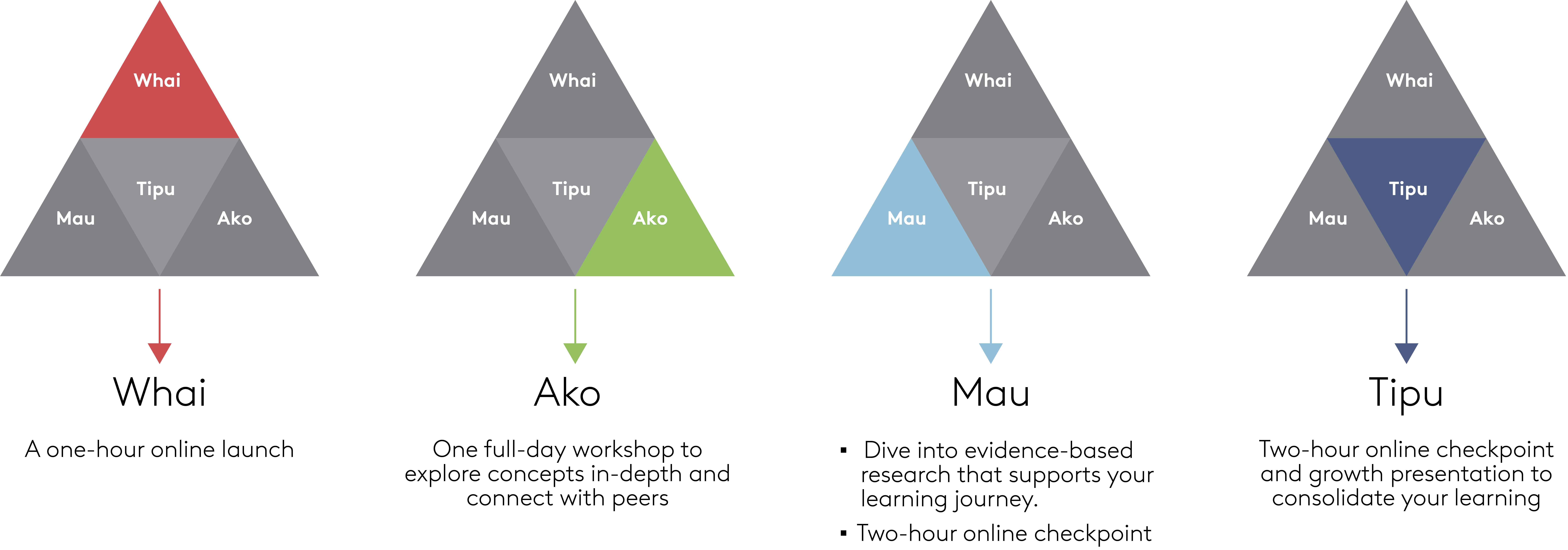 Four headings arranged horizontally describe stages of a learning journey. Whai: a one-hour online launch. Ako: one full-day workshop to explore concepts in depth and connect with peers. Mau: dive into evidence-based research that supports your learning journey, plus a two-hour online checkpoint. Tipu: a two-hour online checkpoint and growth presentation to consolidate learning.