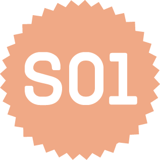 S01