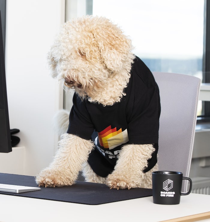 Portrait of the dog Vilja in a Boards on Fire shirt.