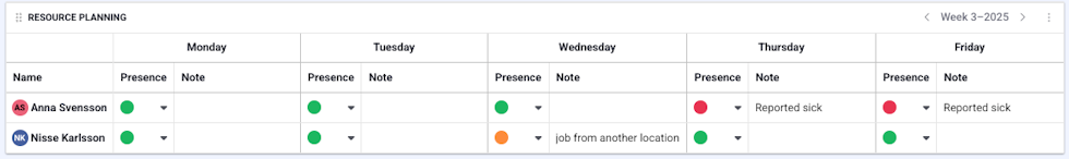 Daily view of the resource planning