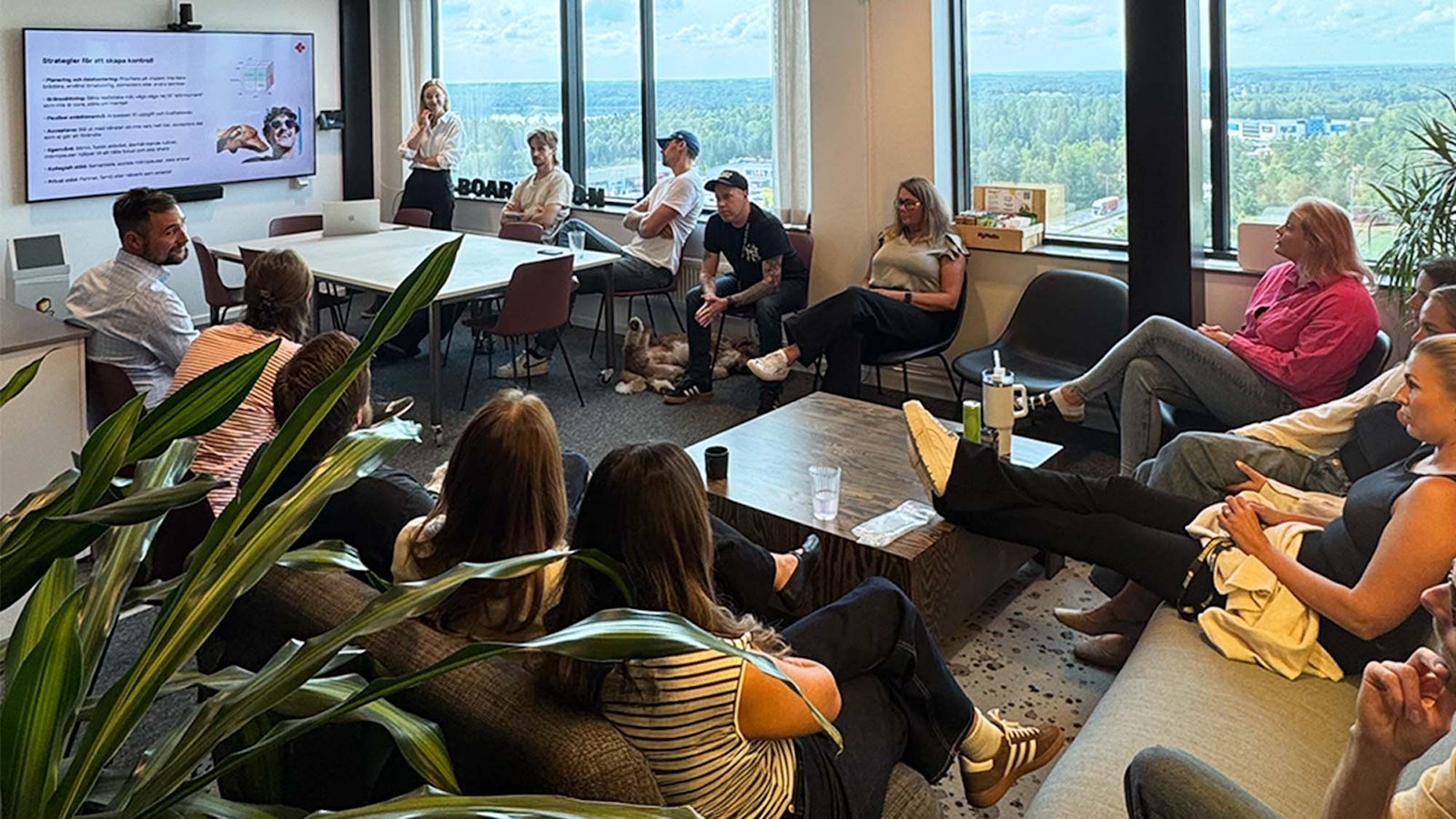 The Plussa team taking part in a workshop at Boards on Fire in a meeting room.