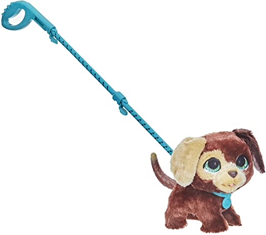 fureal-walkalots-cagnolino