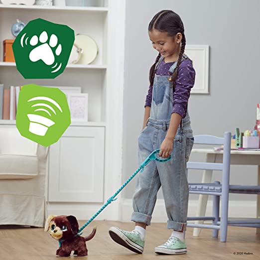 fureal-walkalots-cagnolino