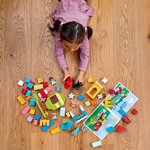 Lego Duplo Contenitore di Mattoncini Grande 85pz