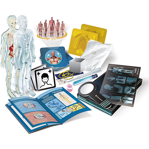 Scienza&Gioco Anatomia Super