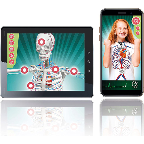 Scienza&Gioco Anatomia Super