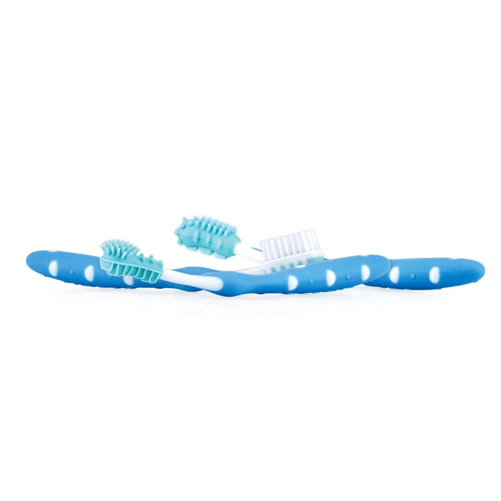 Set Educazione Dentale Nuby