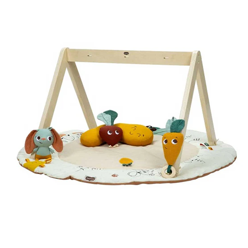 Tiny Love Luxe Gymini Garden of Adventure