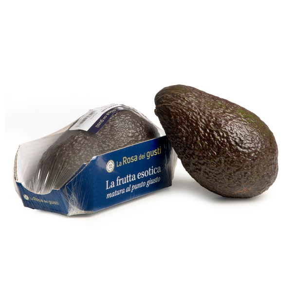 Avocado Hass