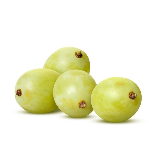 Lavorazione accurata