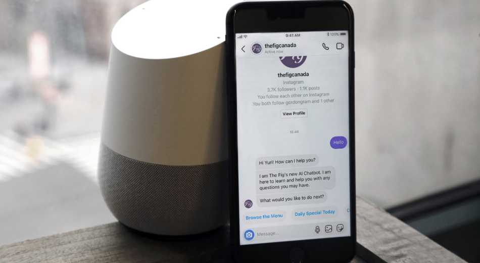 instagram chat bot and google assistant voice bot